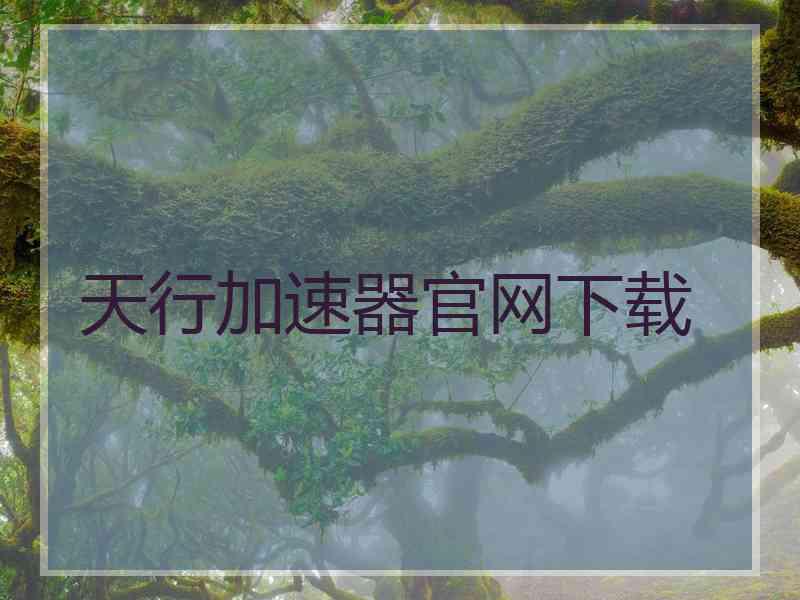 天行加速器官网下载