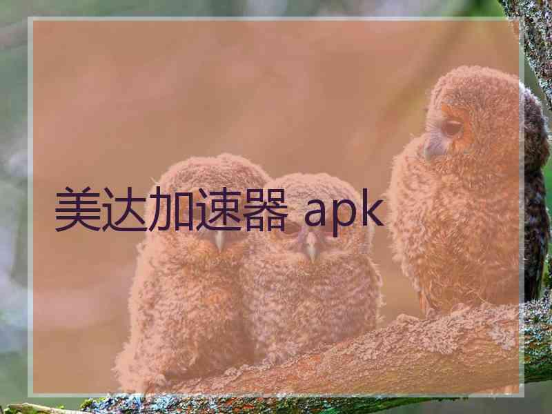 美达加速器 apk